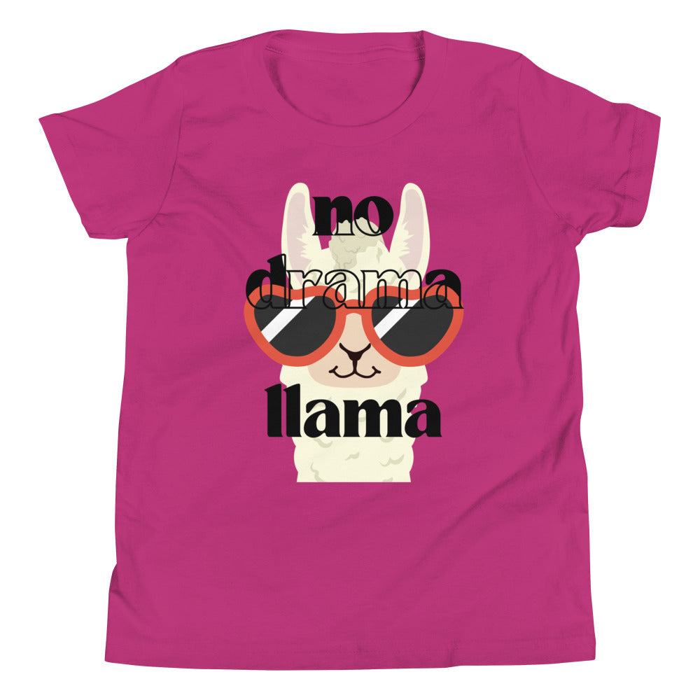 No Drama Llama Youth