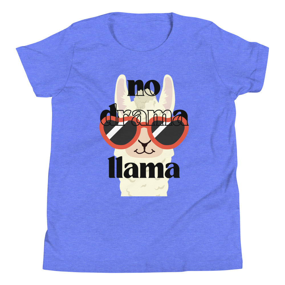 No Drama Llama Youth