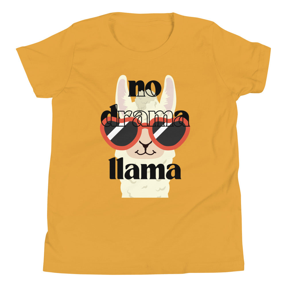 No Drama Llama Youth